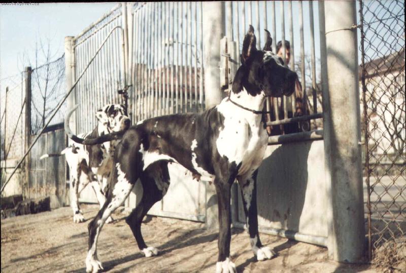 Foto: Borga Uttis-Borga Uttis