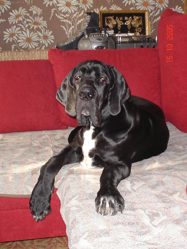 Foto: Cyrda - sedačka je sedačka.....