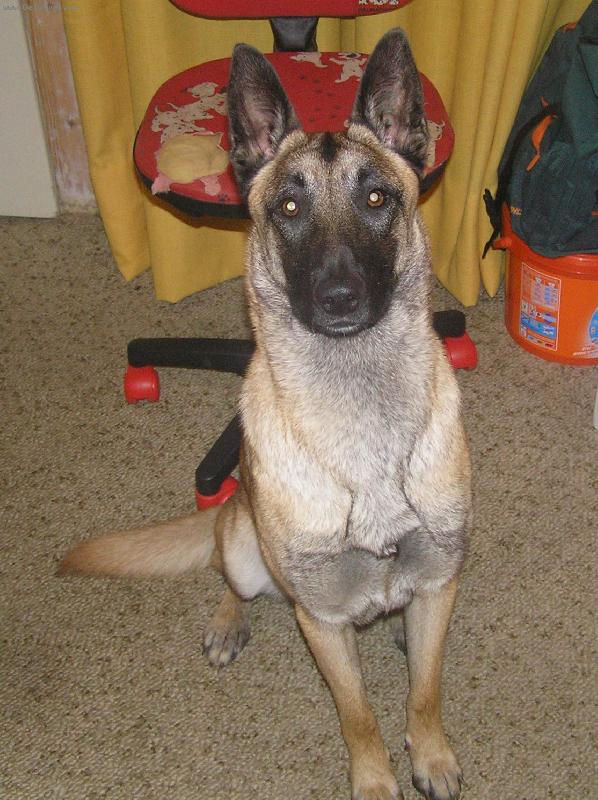 Foto: Arinka-ta ale hezky sedí, co?