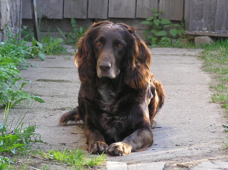 Foto: Judita Vyšoháj-dituška nám zase leží