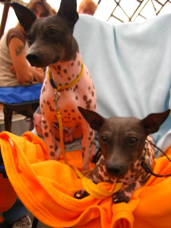 Foto: Lukášek-Lukášek s maminkou Megynkou