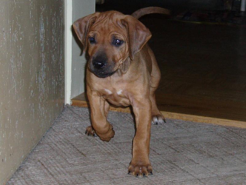 Foto: Kuk!-První den doma.