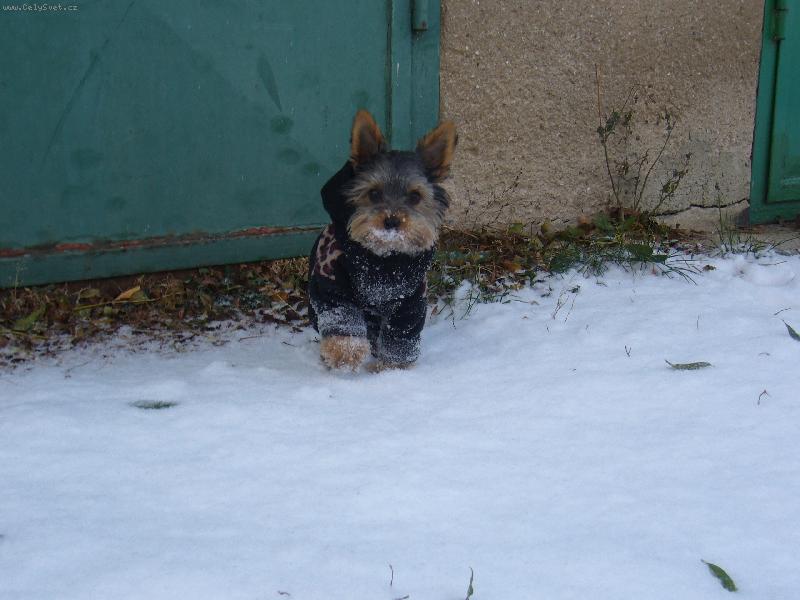 Foto: sakrys co se to pres noc stalo..?a co je to studene co me zebe do pacek??