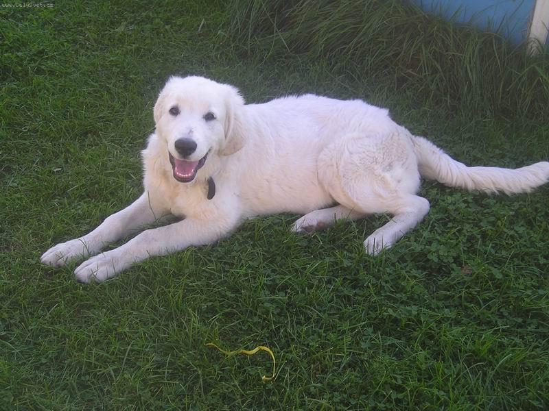 Foto: Gwen 6 měsíců-Gwen 6 měsíců