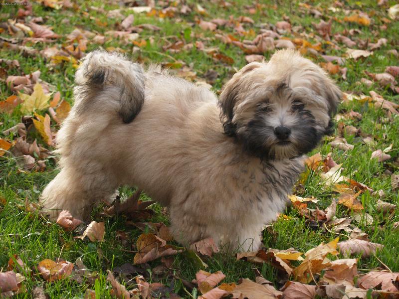 Foto: Angenka-Naše 3 měsíční miminko =)