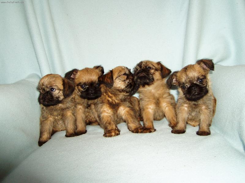 Foto: Rodinné foto-Rodinné foto