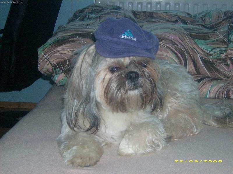 Foto: naš krasavec s čepicí-Mates