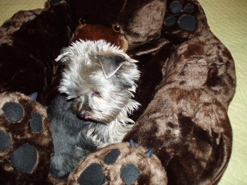 Foto: Baruška a medvěd