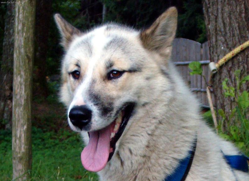 Foto: Bessi Křemenný Val