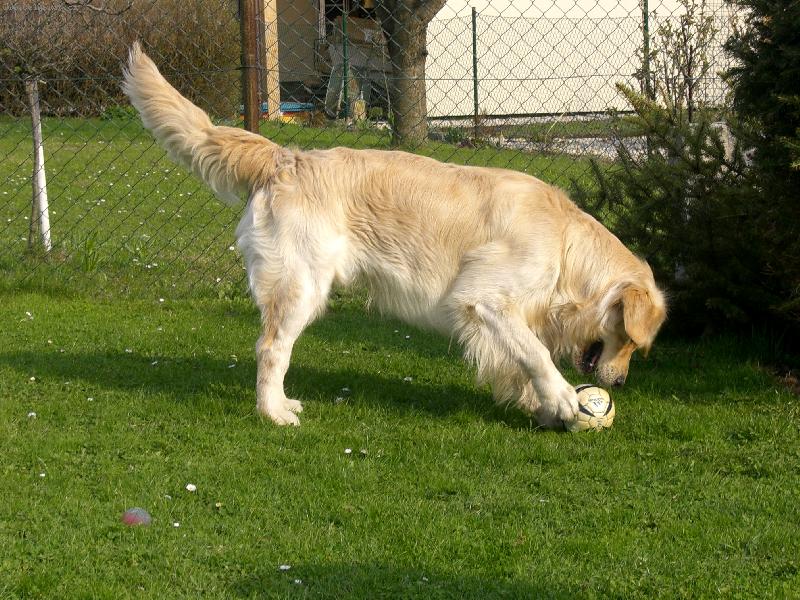 Foto: Amigo fotbalista-Já to asi spí zblajznu!!!!!!!!!!!!