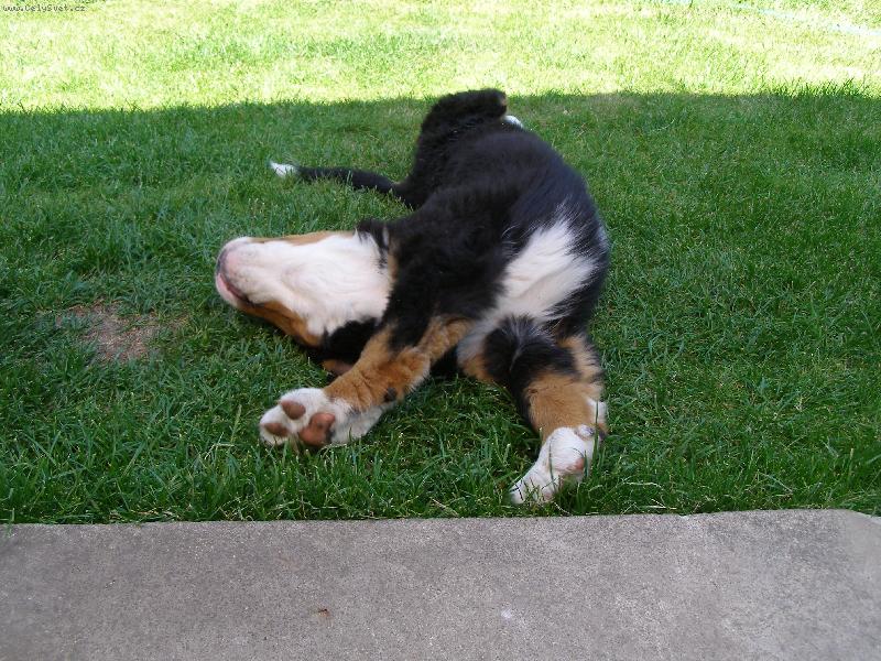 Foto: To je paráda....