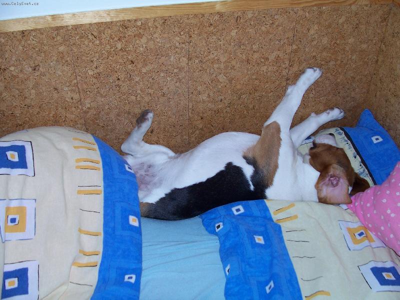 Foto: ozzy-prostě jeho oblíbená činost