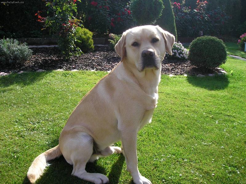 Foto: náš \"čumí\"