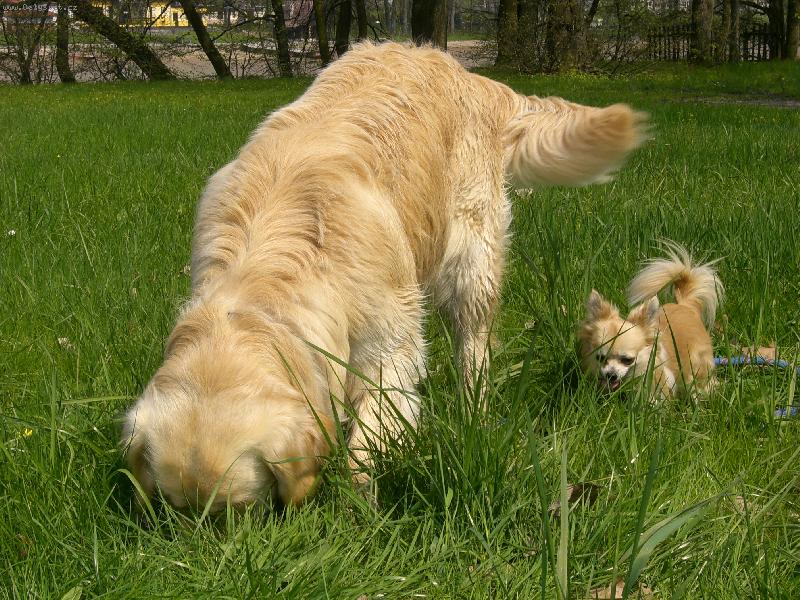 Foto: Dva stopaři!!!!!!!!!-Mat a Pat:::::::::::