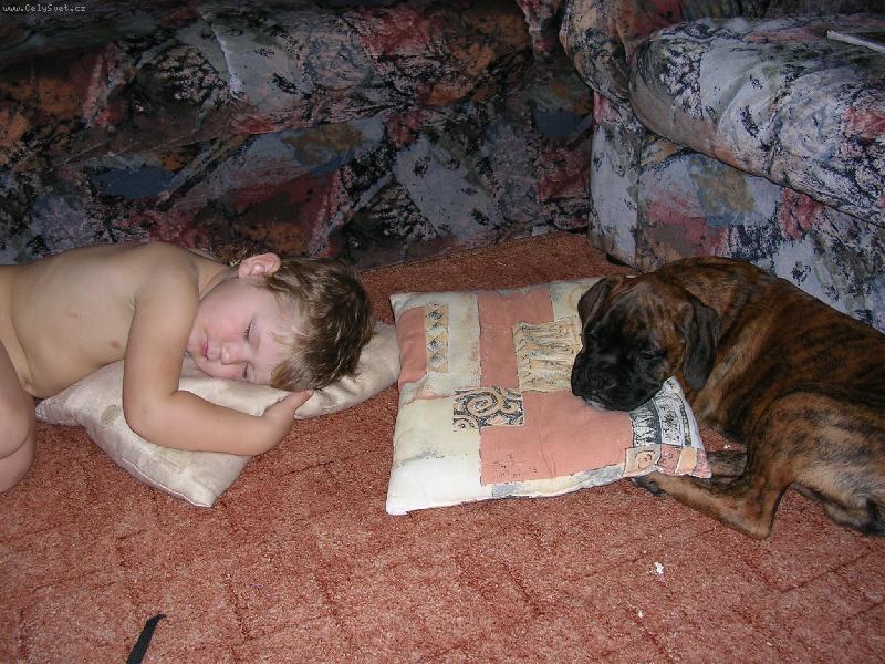 Foto: to se to spinká