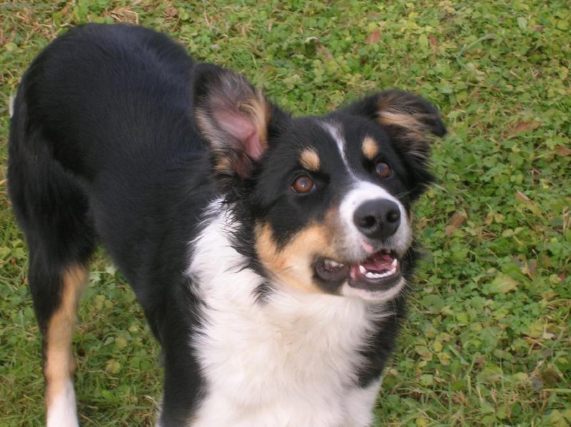 Foto: AUDI-.....jééééé.....