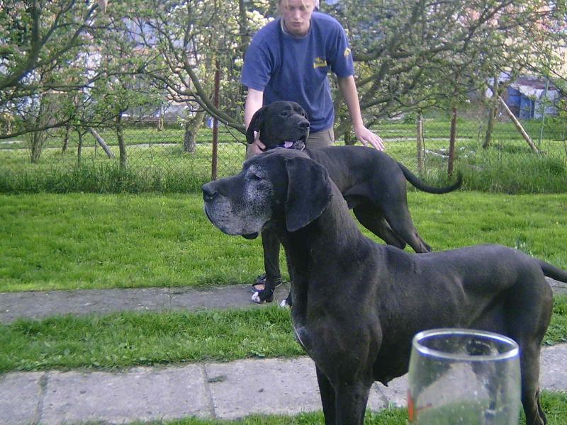 Foto: Oroušek koloušek a bábinka Celzinka