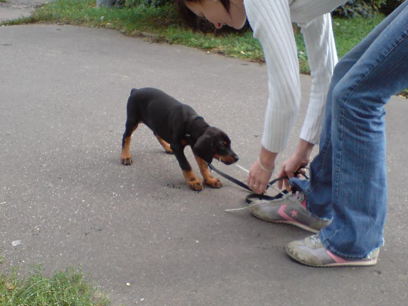 Foto: Aysha-...a stejně ti jí utrhnu :-)