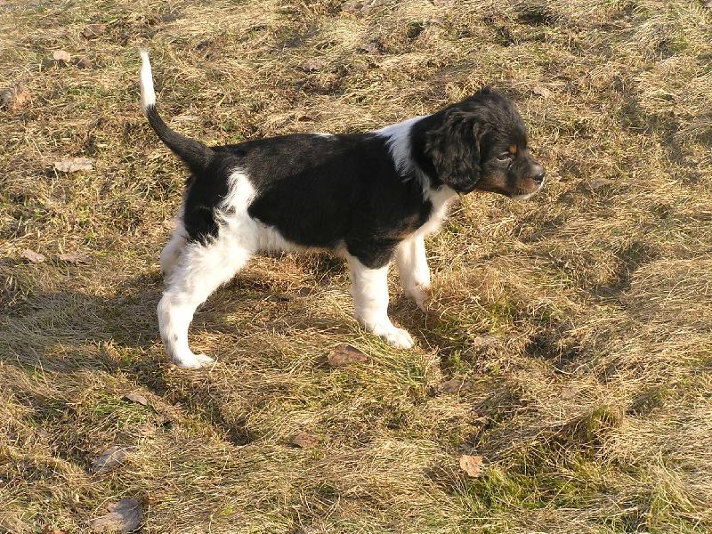 Foto: Bessy-to je naše Bessynka