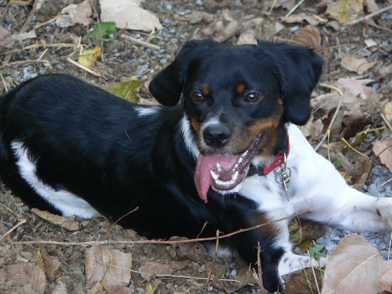 Foto: Bessy-tady už je nám 9 měsíců