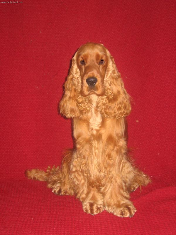 Foto: Alexander the Great Onyro-děsně rád se fotím