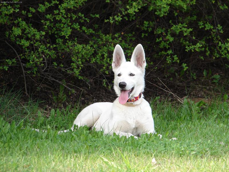 Foto: Khanysha Badu-Badu pózující