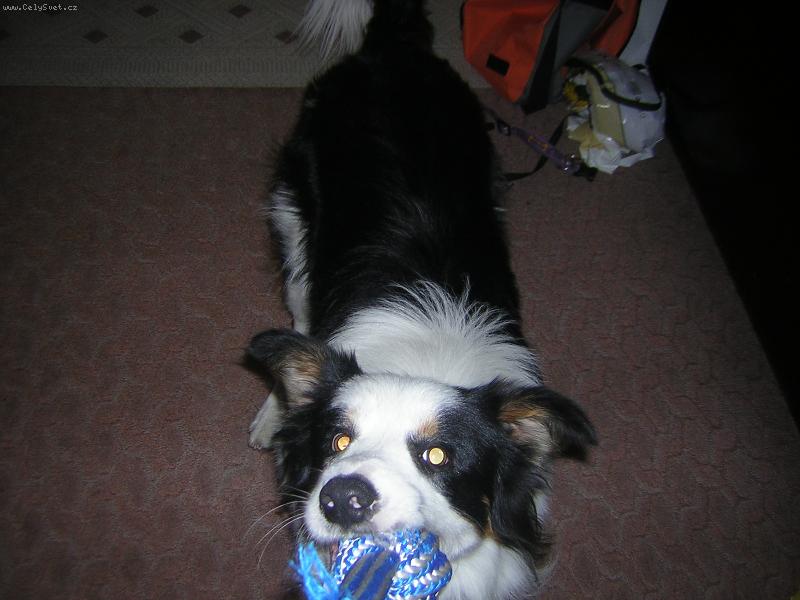 Foto: přetahovaná-Beauty jak se přetahuje