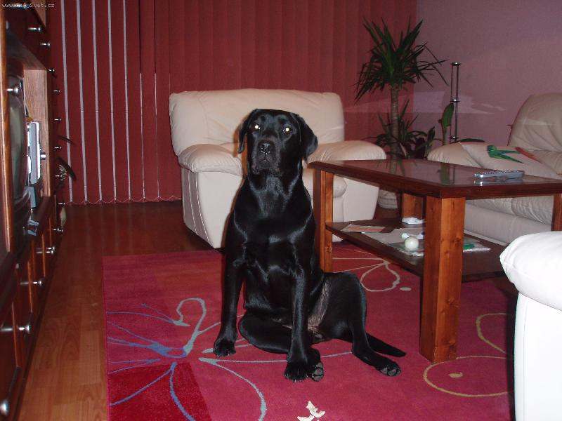 Foto: Bryta od Maršovských luk