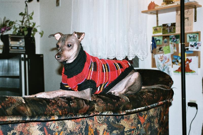 Foto: peruanský naháč-tady velím já....