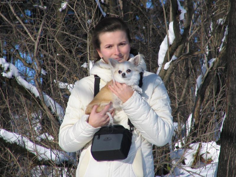 Foto: Belinka-Beli v zimě