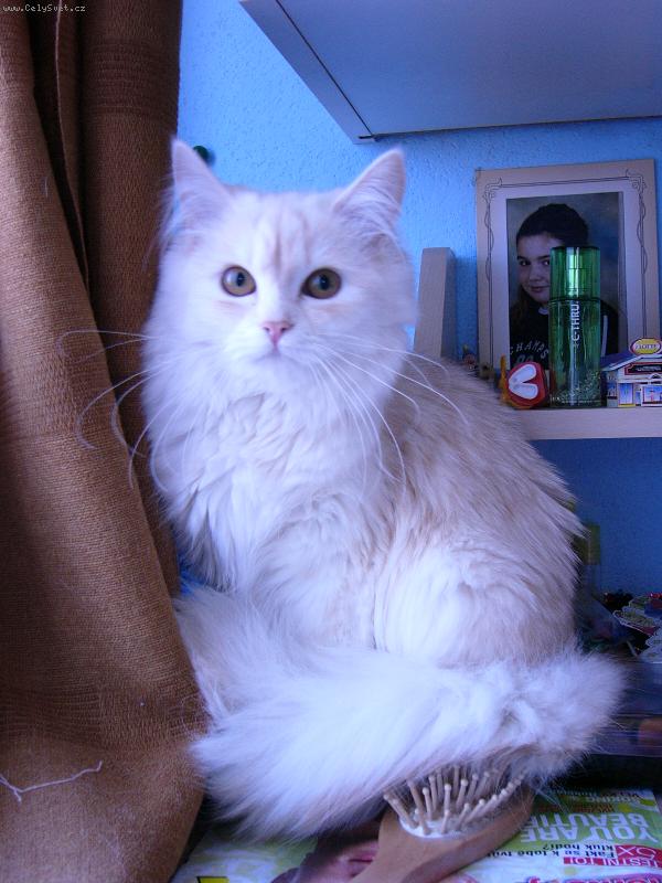 Foto: náš miláček