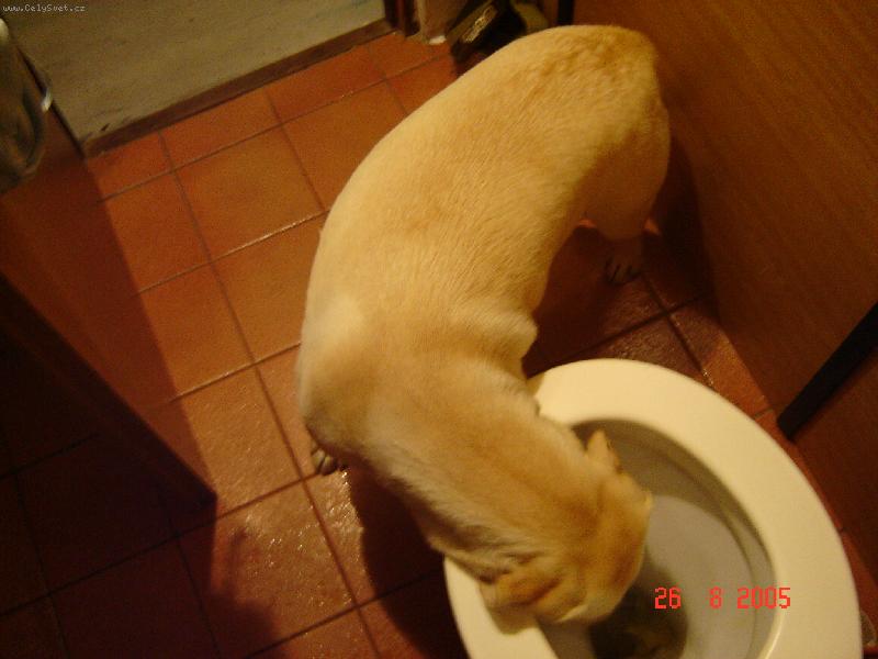 Foto: Něco dobrého???-Vše se musí proskoumat...