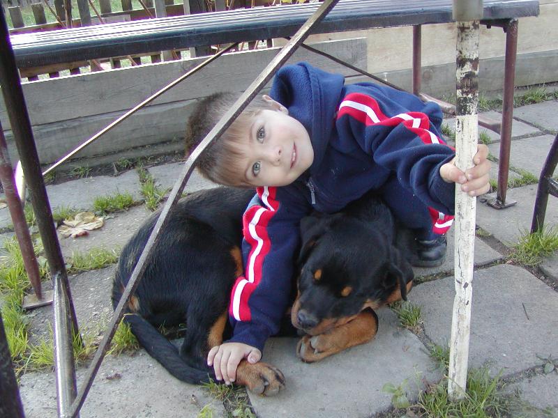 Foto: Mláďata-Dany a Arwy