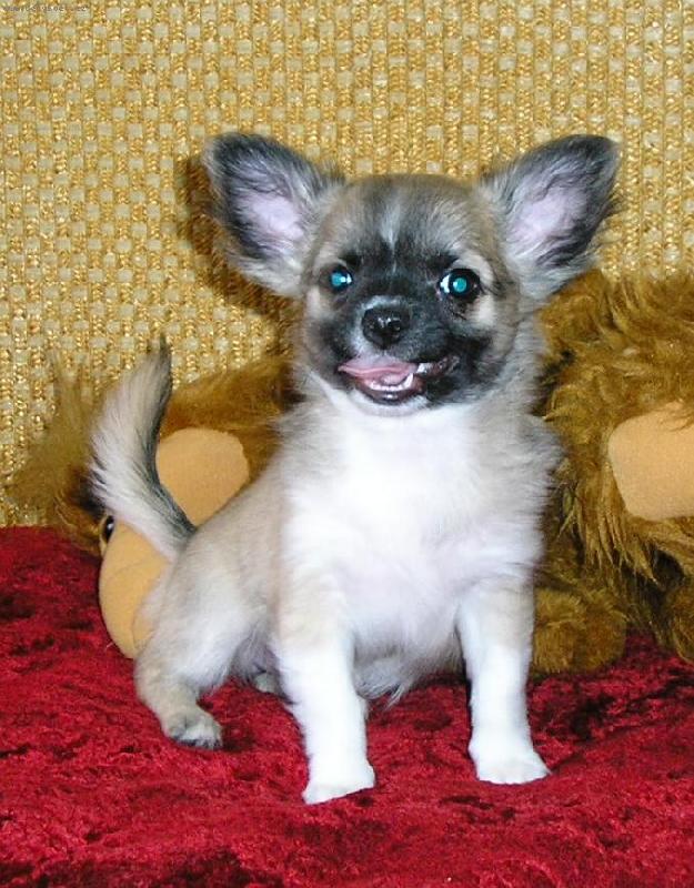 Foto: jsou nám tři měsíce