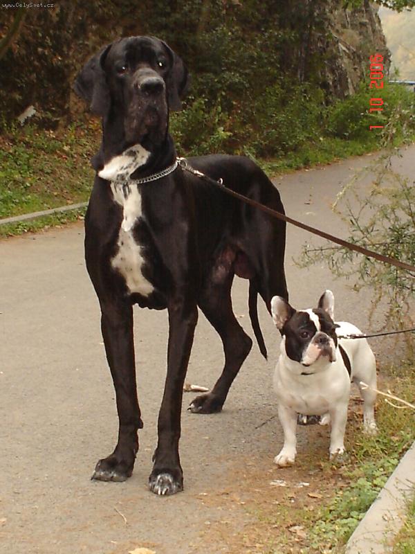 Foto: Cyrillius Regia Uttis + starší brácha