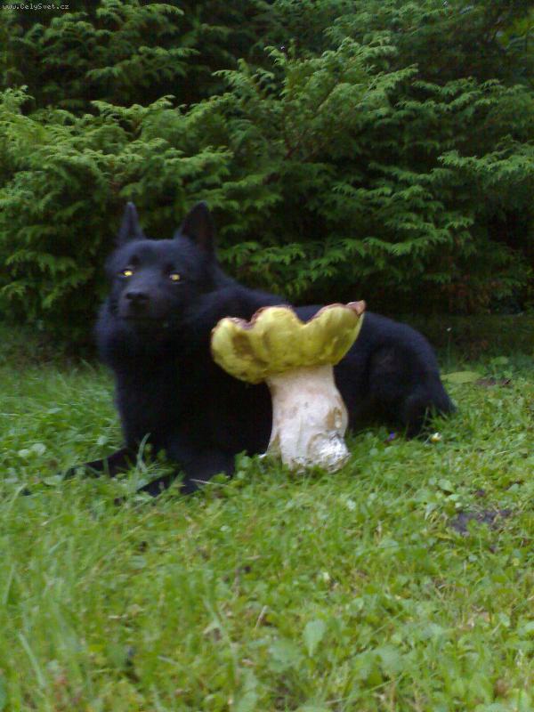 Foto: Belli Rudolfovská Skála