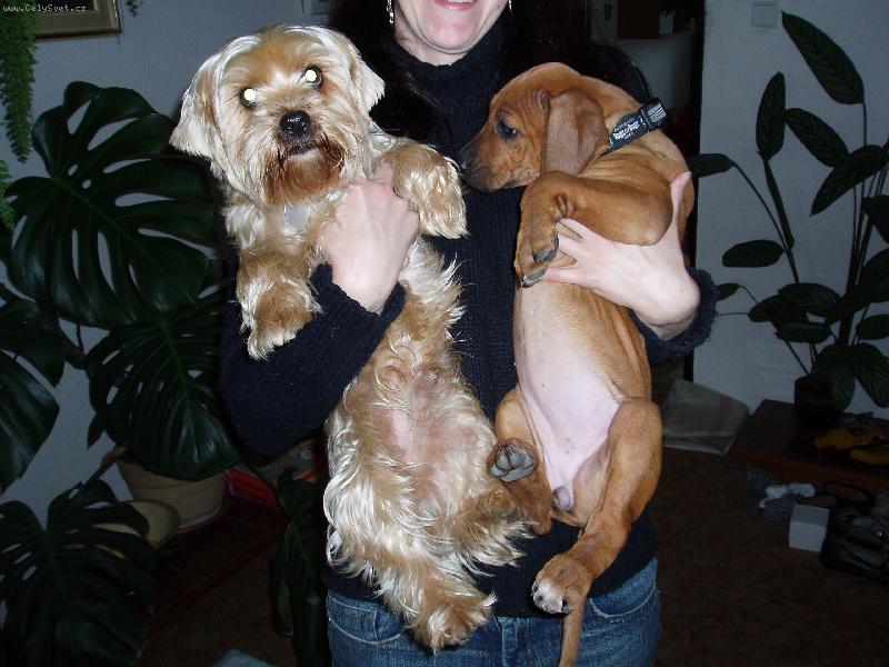 Foto: Moje kámoška Conny