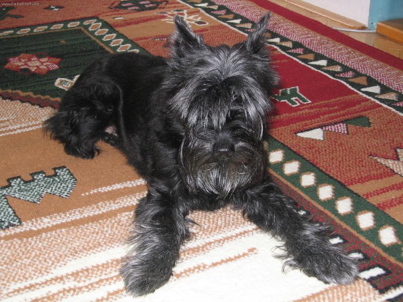 Foto: vzpomínka na naši Besinku