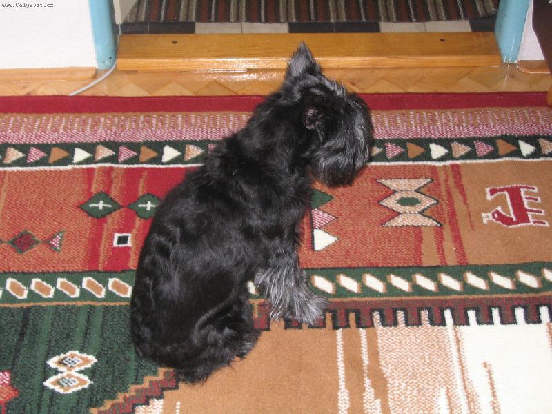 Foto: vzpomínka na naši Besinku