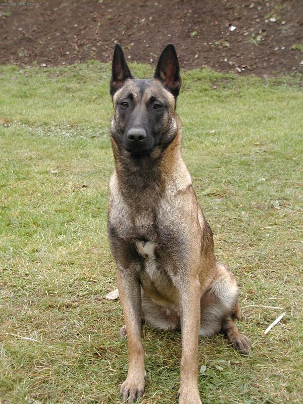 Foto: se dívejte-důležitá