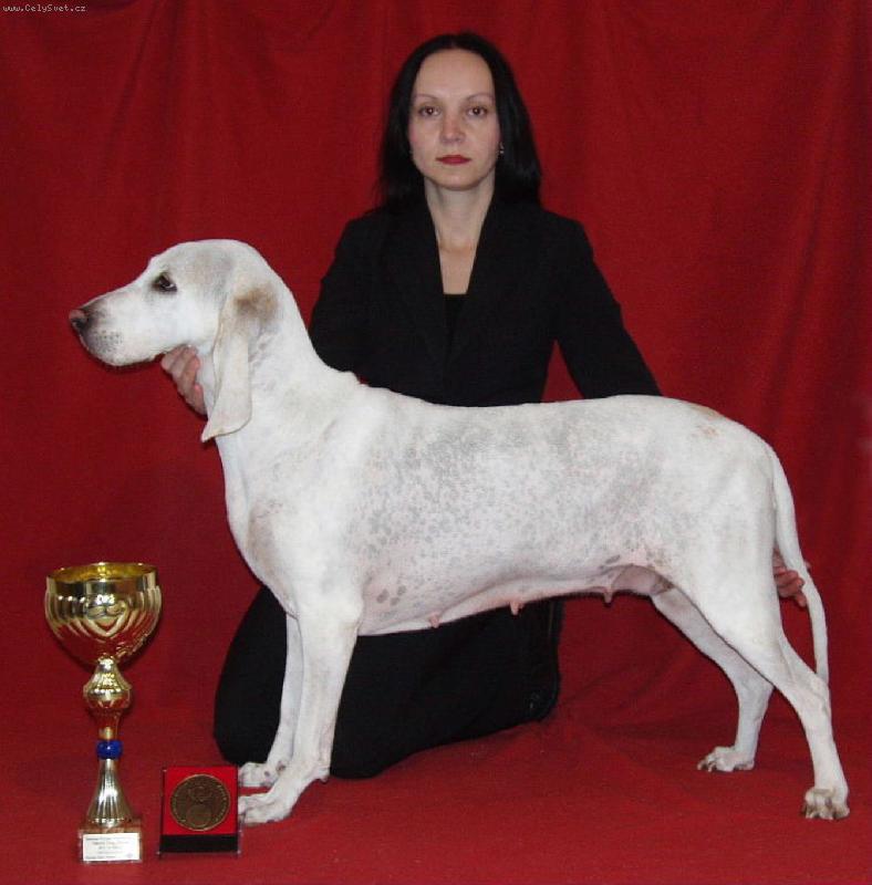 Foto: Penny - World Winner 2006-Penny - svetovy vitez 2006