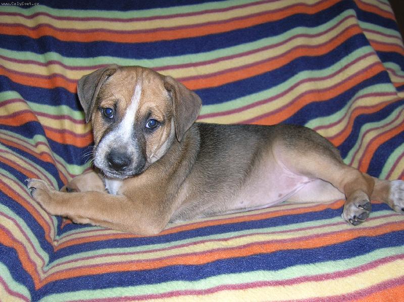 Foto: Nová členka rodiny