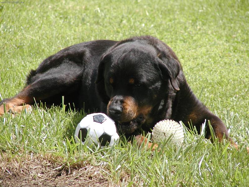 Foto: Moje-Sakra,který?Oba