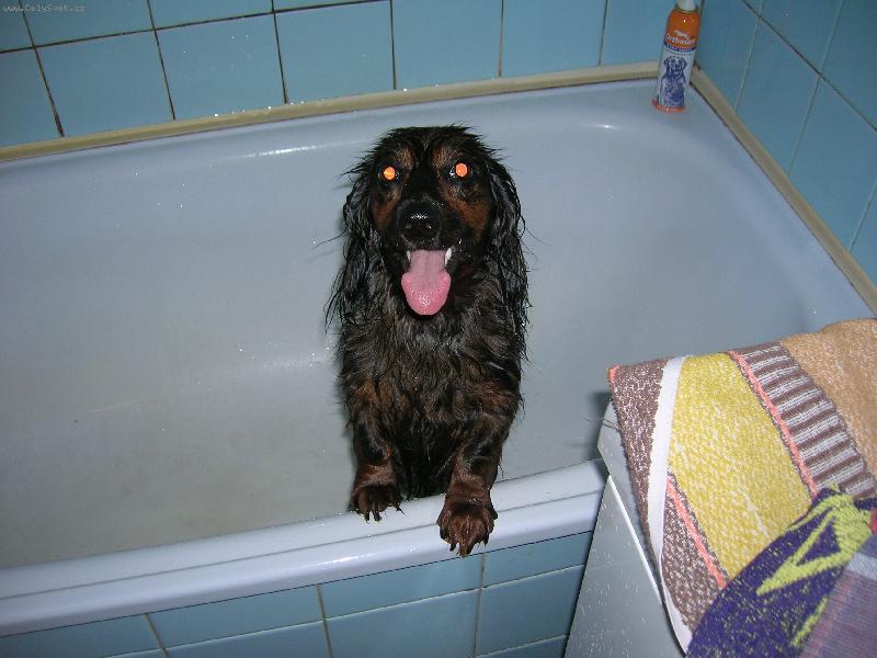 Foto: Naše Dejsi při koupání