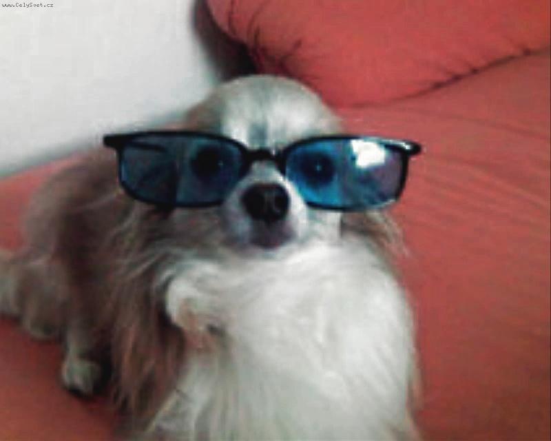 Foto: Dustin2-Teď už jen namazat správnej UV filtr a hurá ven!