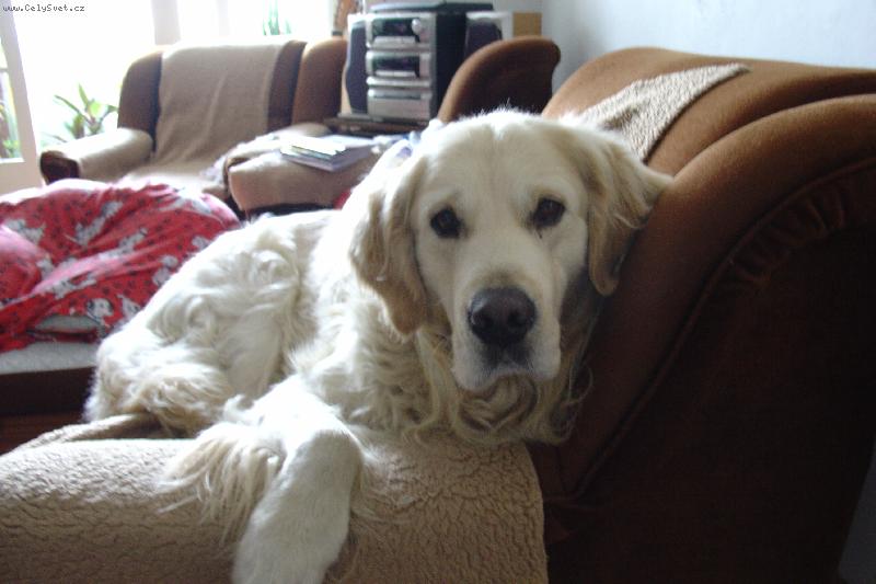 Foto: Na gauči-Dagísek