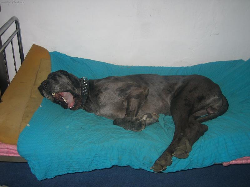 Foto: odpoledni leharo-a vazne musim vstavat?