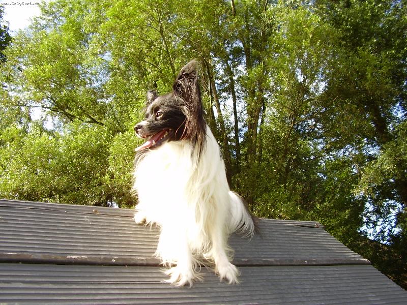 Foto: kleo-na áčku