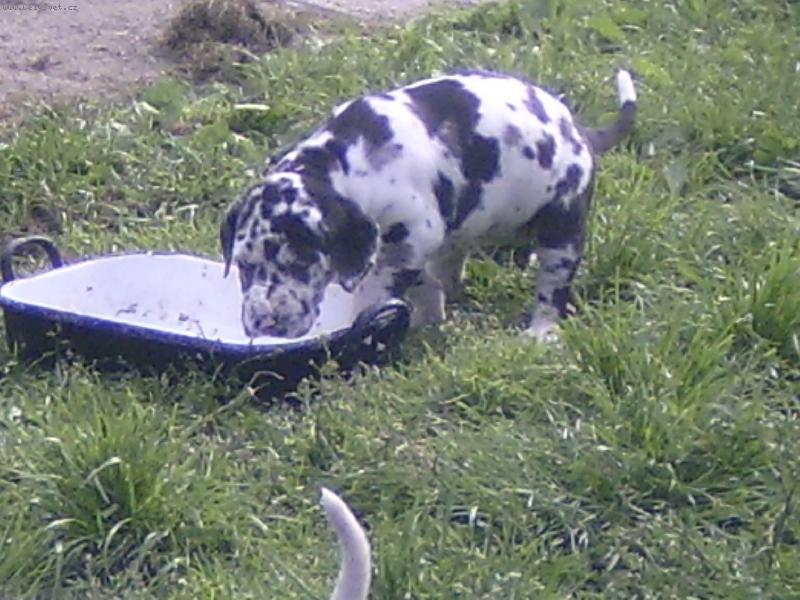 Foto: Jenom uletět !