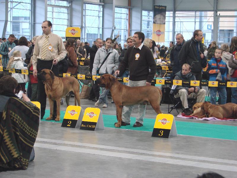 Foto: Světová výstava Poznaň  06-Uruwashii Tosa Centrum - CWC, R.CACIB